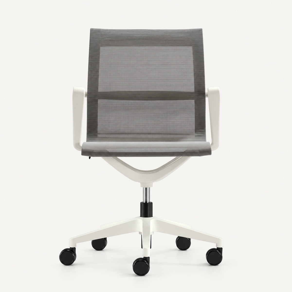 Galeri White
